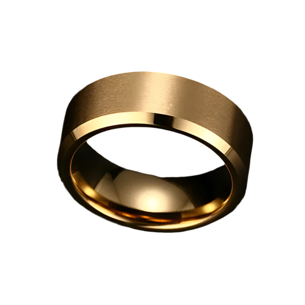 Bague anneau TITANE