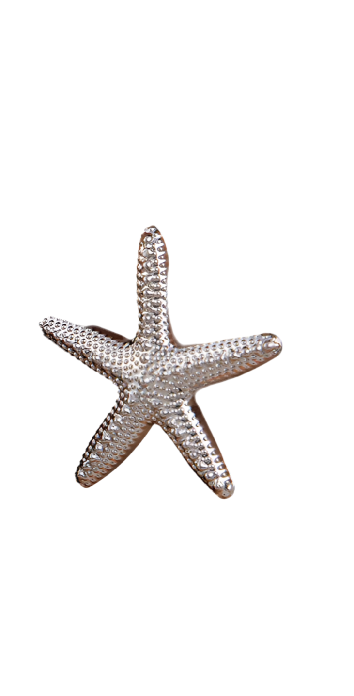Boucles d'oreilles CHIARA
