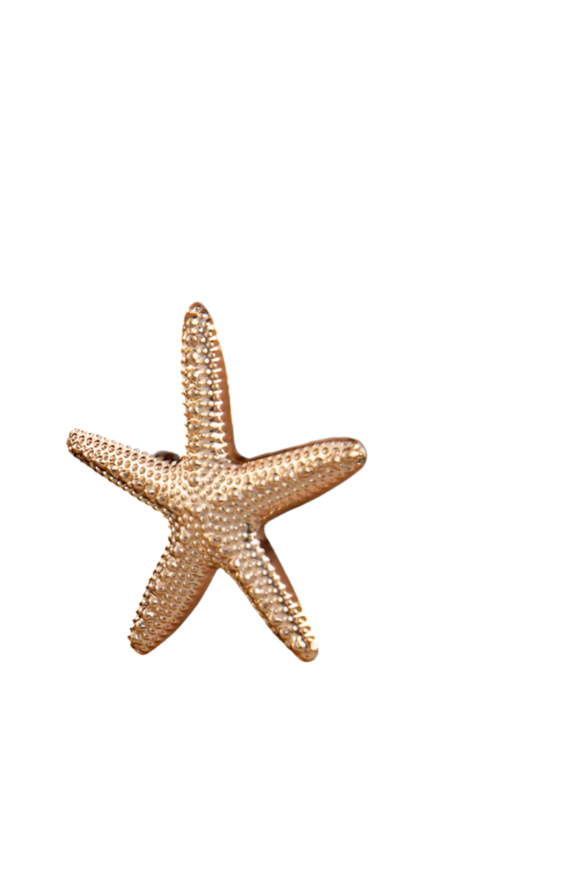 Boucles d'oreilles CHIARA